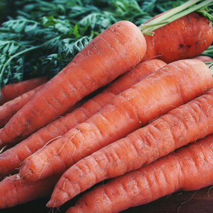 Close-up Photography of Orange Carrots