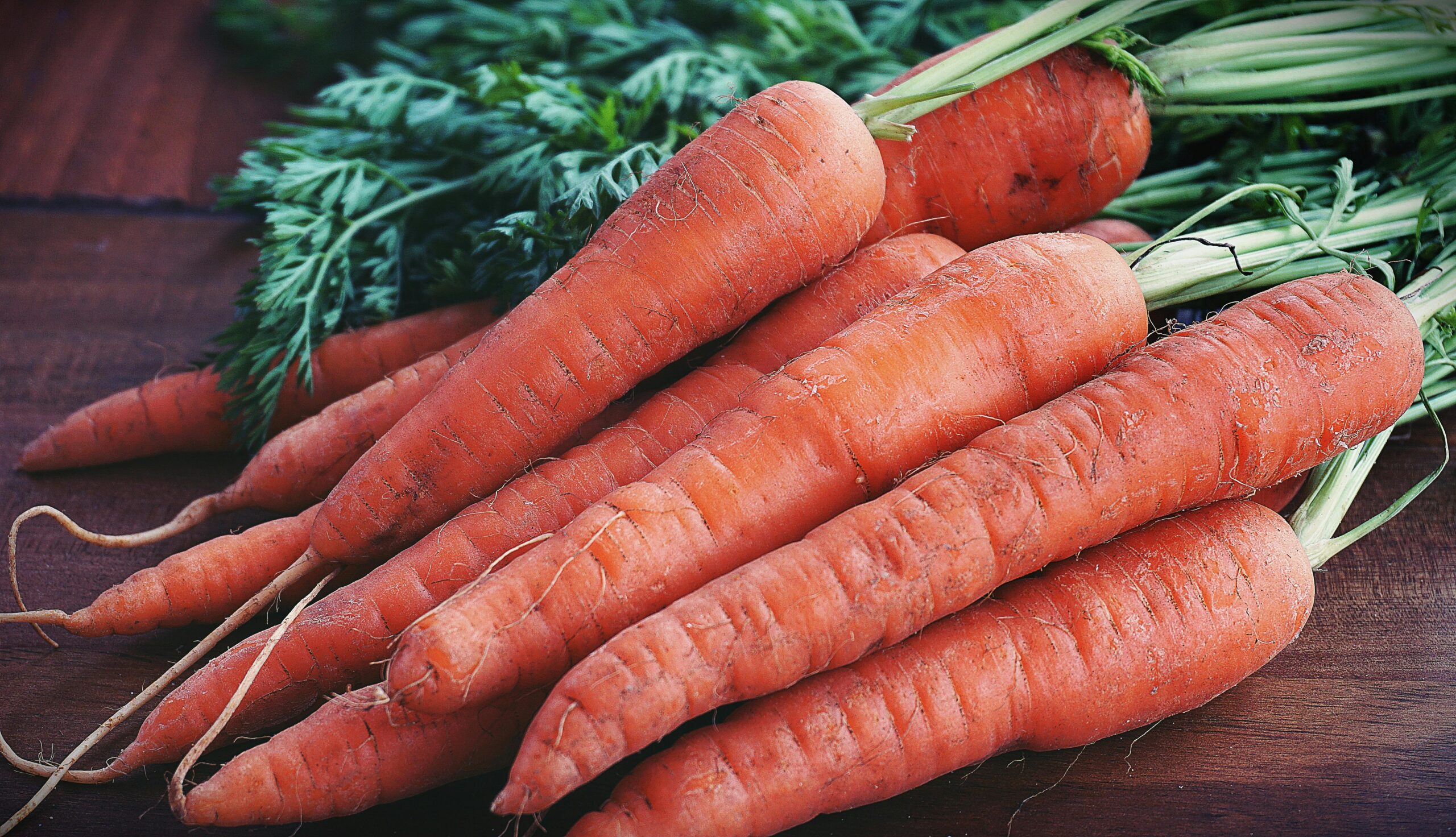Close-up Photography of Orange Carrots