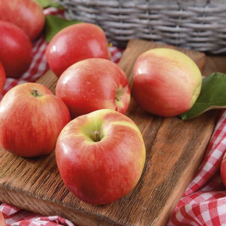 Buah apel yang segar diatas papan kayu